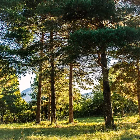 Le Panoramic - Votre Au Cœur Des Gorges Du Verdon Hotel La Palud-sur-Verdon