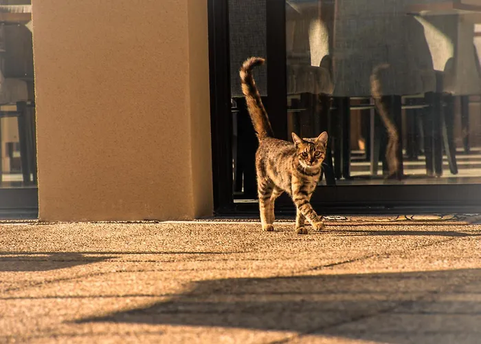Le Panoramic - Gorges Du Verdon Hotel La Palud-sur-Verdon