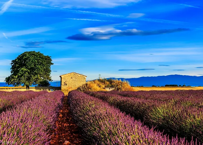 Le Panoramic - Gorges Du Verdon 2*