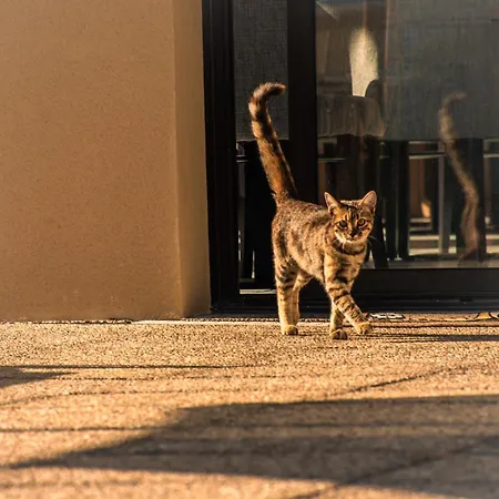 Le Panoramic - Gorges Du Verdon فندق La Palud-sur-Verdon