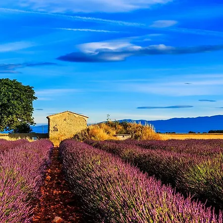 أوتل لو بانوراميك فندق La Palud-sur-Verdon