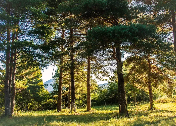 Le Panoramic - Gorges Du Verdon Hotel La Palud-sur-Verdon